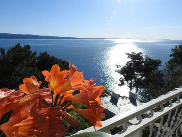 Sunrise Vid Apartment Dugi Rat Exterior photo